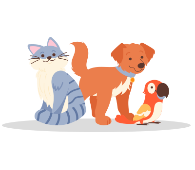 Pets